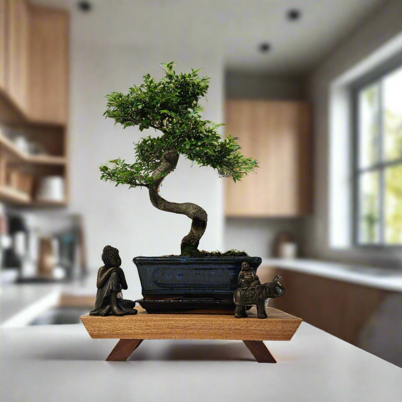 Bonsai Display Stands