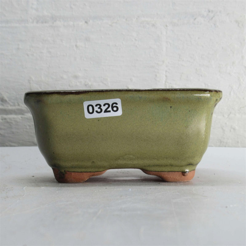 11cm Glazed Bonsai Pot | Rectangle | 11cm x 8cm x 5cm | Green - Yorkshire Bonsai