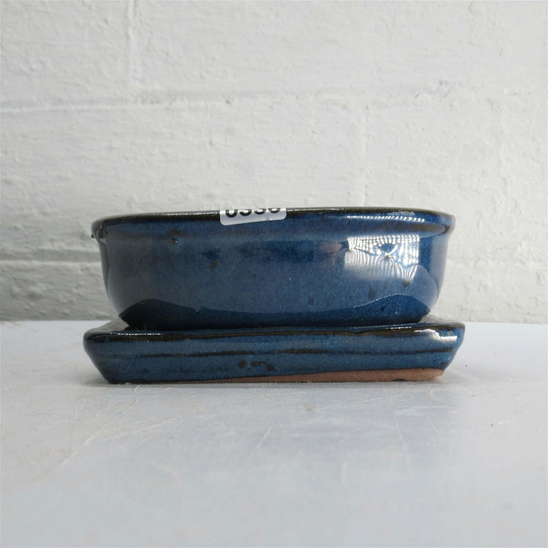 12cm Glazed Bonsai Pot | Oval | 12cm x 10cm x 5cm | Blue | With drip tray - Yorkshire Bonsai