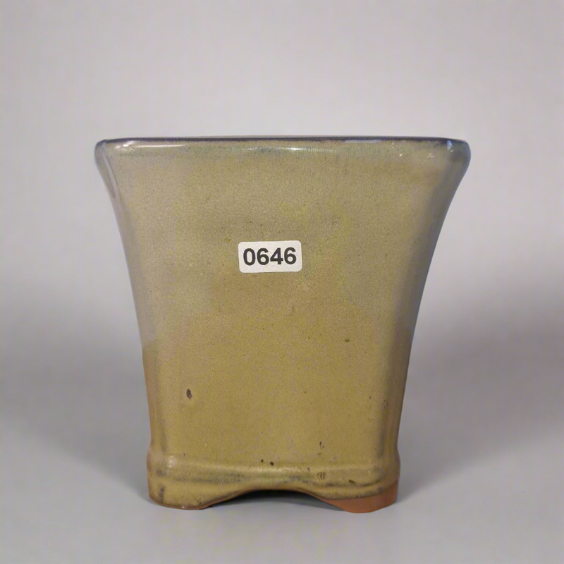 13cm Glazed Bonsai Pot | Cascade | 13cm x 13cm x 13cm | Green