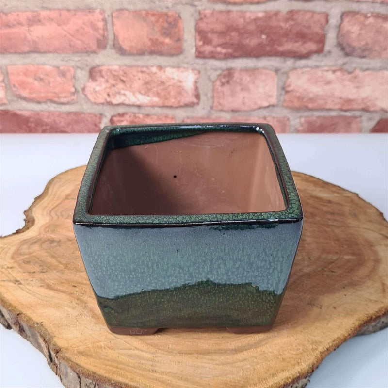13cm Glazed Cascade Bonsai Pot | Square | 13cm x 13cm x 10cm | Green - Yorkshire Bonsai