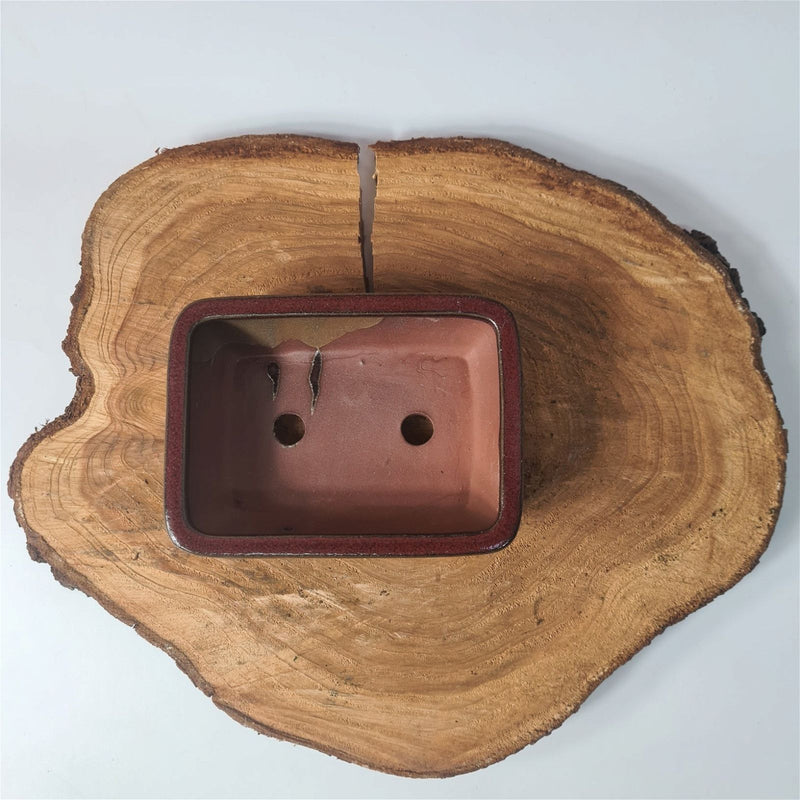 15cm Glazed Bonsai Pot | Rectangle | 15cm x 11cm x 5cm | Dark Red - Yorkshire Bonsai