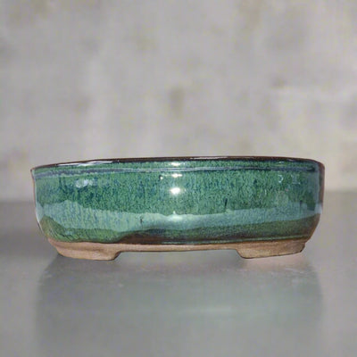 16cm Glazed Bonsai Pot | Oval | 16cm x 12cm x 3cm | Green - Yorkshire Bonsai