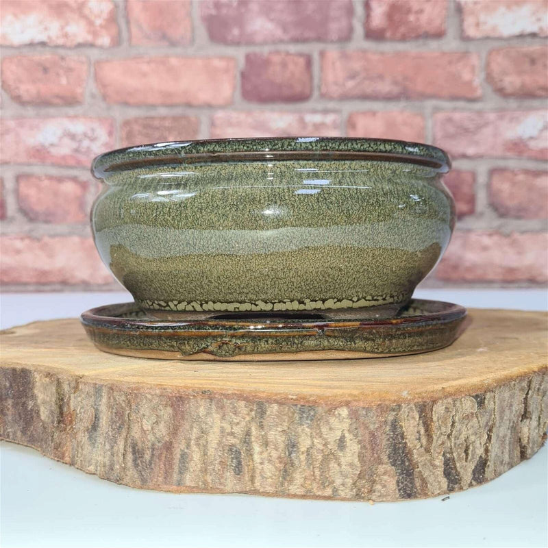 16cm Glazed Bonsai Pot | Oval | 16cm x 13cm x 6cm | Green - Yorkshire Bonsai