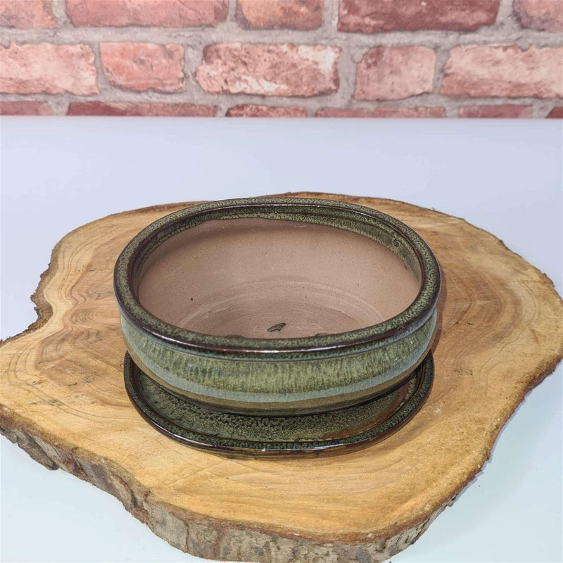16cm Glazed Bonsai Pot | Oval | 16cm x 13cm x 6cm | Green - Yorkshire Bonsai
