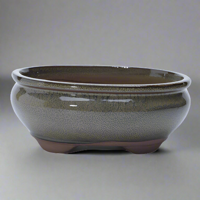 18cm Glazed Bonsai Pot | Oval | 18cm x 15cm x 6cm | Green - Yorkshire Bonsai