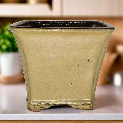 18cm Glazed Cascade Bonsai Pot | Square | 18cm x 18cm x 16cm | Green - Yorkshire Bonsai