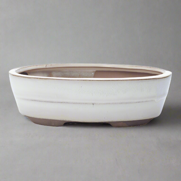 20cm Glazed Bonsai Pot | Oval | 20cm x 17cm x 5cm | White