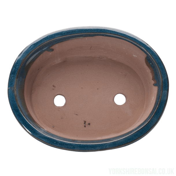 20cm Glazed Bonsai Pot | Oval | 20cm x 17cm x 5cm | Blue - Yorkshire Bonsai