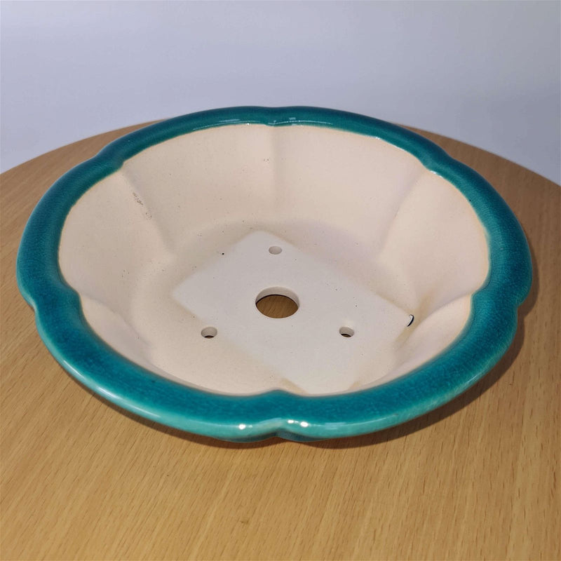20cm Premium Glazed Bonsai Pot | Floral | 20cm x 20cm x 6.5cm | Turquoise - Yorkshire Bonsai