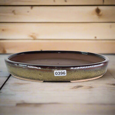 21cm Glazed Bonsai Pot | Oval | 21cm x 16cm x 3cm | Green - Yorkshire Bonsai