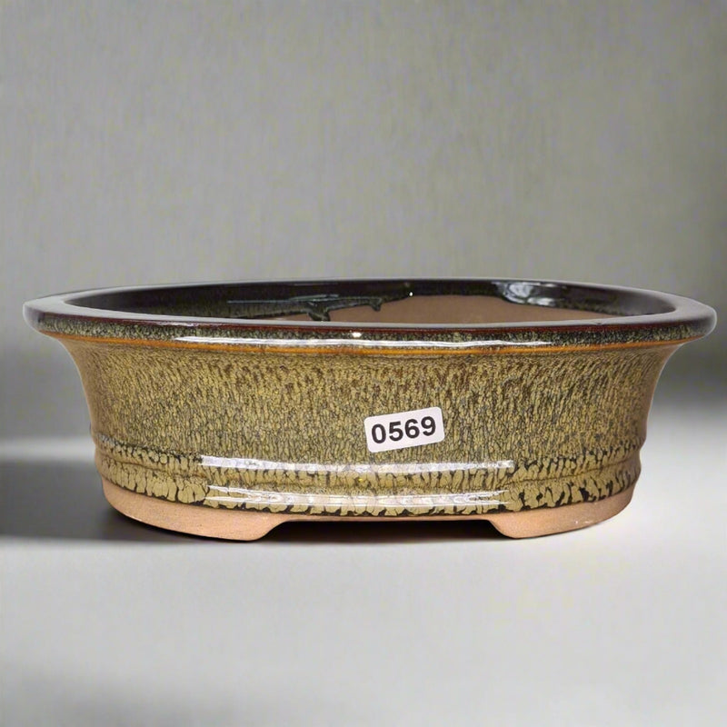 21cm Glazed Bonsai Pot | Oval | 21cm x 17cm x 6cm | Green - Yorkshire Bonsai