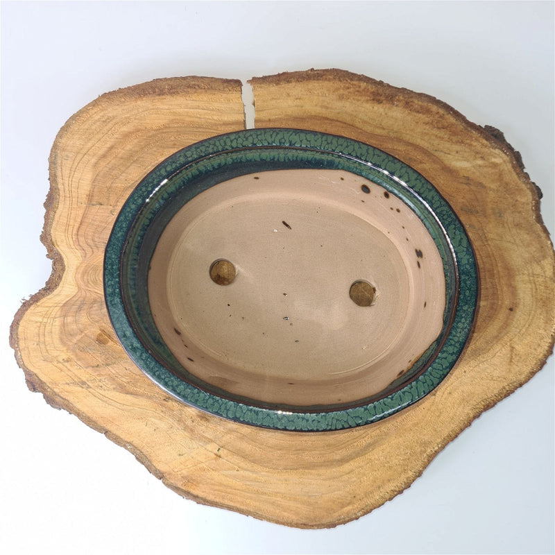21cm Glazed Bonsai Pot | Oval | 21cm x 17cm x 6cm | Green - Yorkshire Bonsai