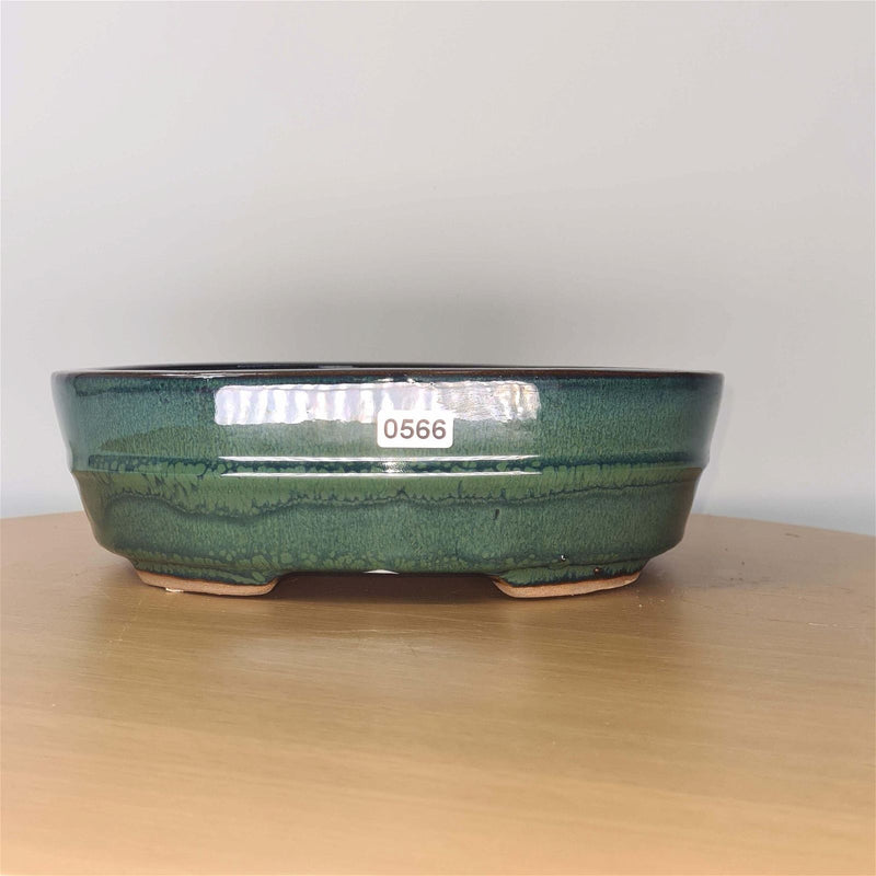 22cm Glazed Bonsai Pot | Oval | 22cm x 16cm x 7cm | Green - Yorkshire Bonsai