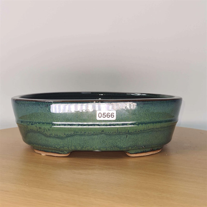 22cm Glazed Bonsai Pot | Oval | 22cm x 16cm x 7cm | Green - Yorkshire Bonsai