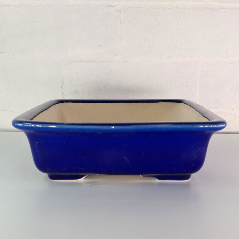 22cm Premium Glazed Bonsai Pot | Square | 22cm x 22cm x 6cm | Blue - Yorkshire Bonsai