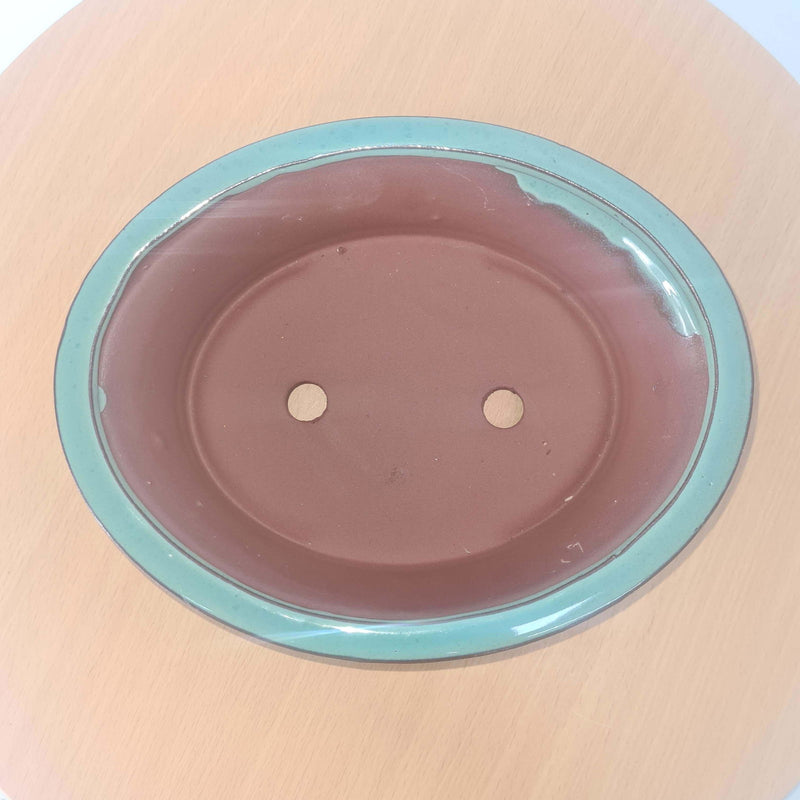 23cm Glazed Bonsai Pot | Oval | 23cm x 19cm x 7cm | Turquoise - Yorkshire Bonsai