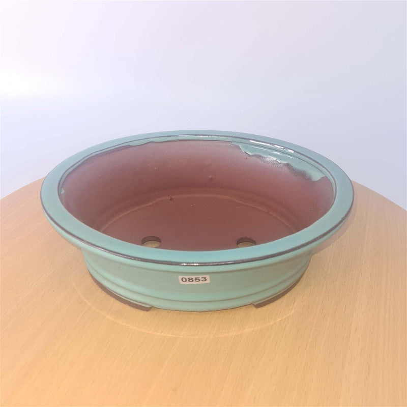 23cm Glazed Bonsai Pot | Oval | 23cm x 19cm x 7cm | Turquoise - Yorkshire Bonsai