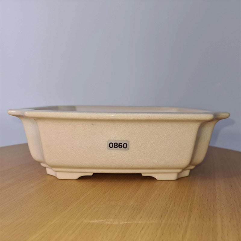 23cm Premium Glazed Bonsai Pot | Square | 23cm x 23cm x 7cm | White - Yorkshire Bonsai