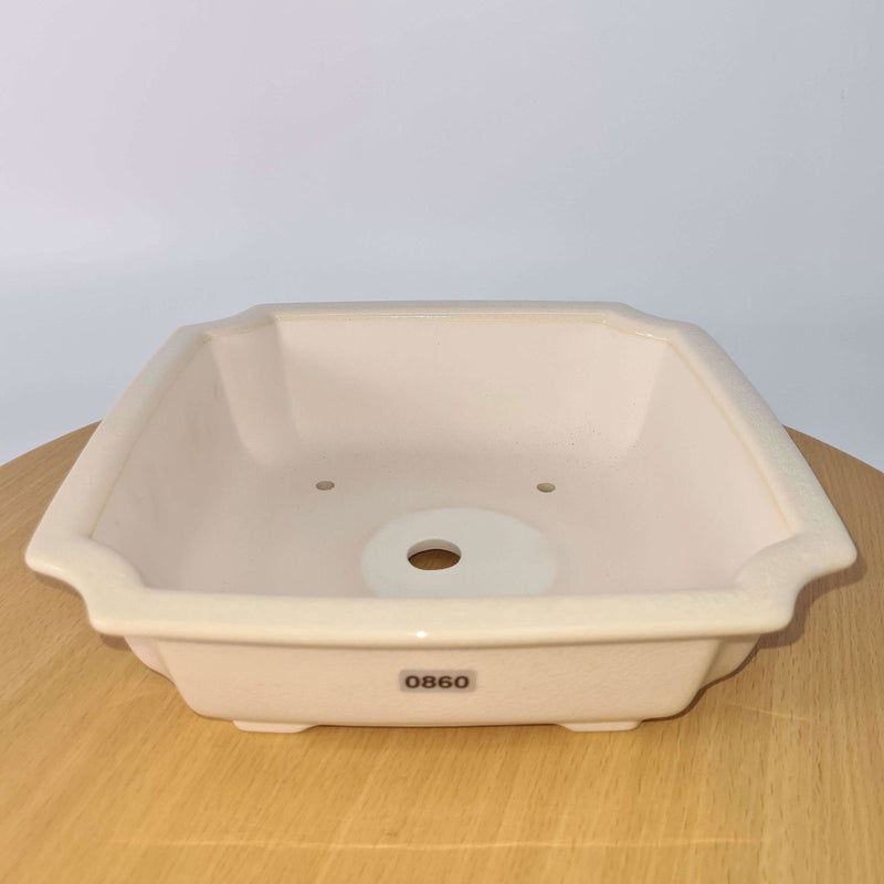 23cm Premium Glazed Bonsai Pot | Square | 23cm x 23cm x 7cm | White - Yorkshire Bonsai