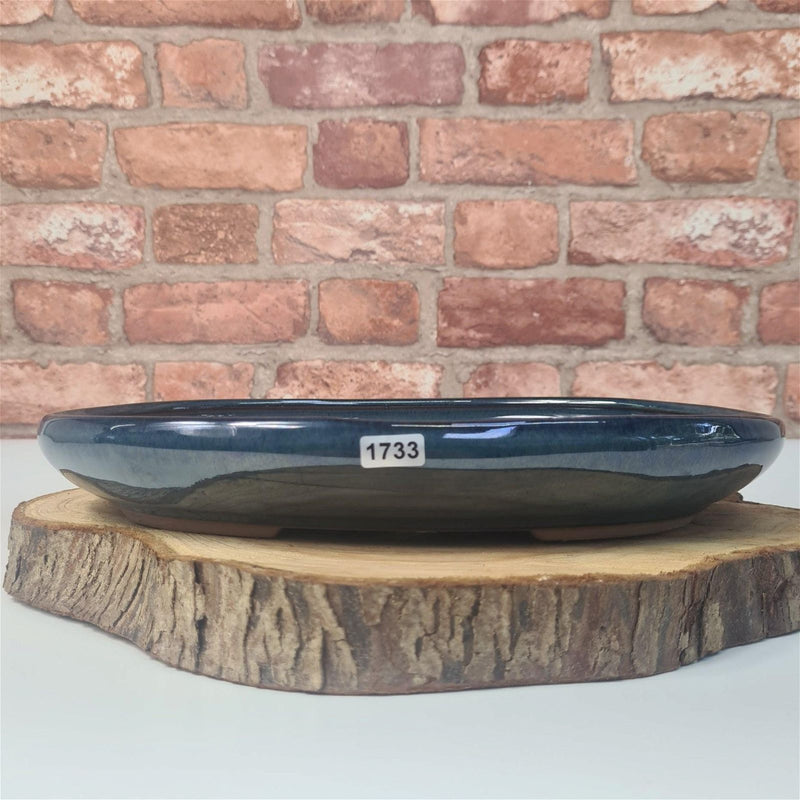 25cm Glazed Bonsai Pot | Oval | 25cm x 18cm x 4.5cm | Blue - Yorkshire Bonsai