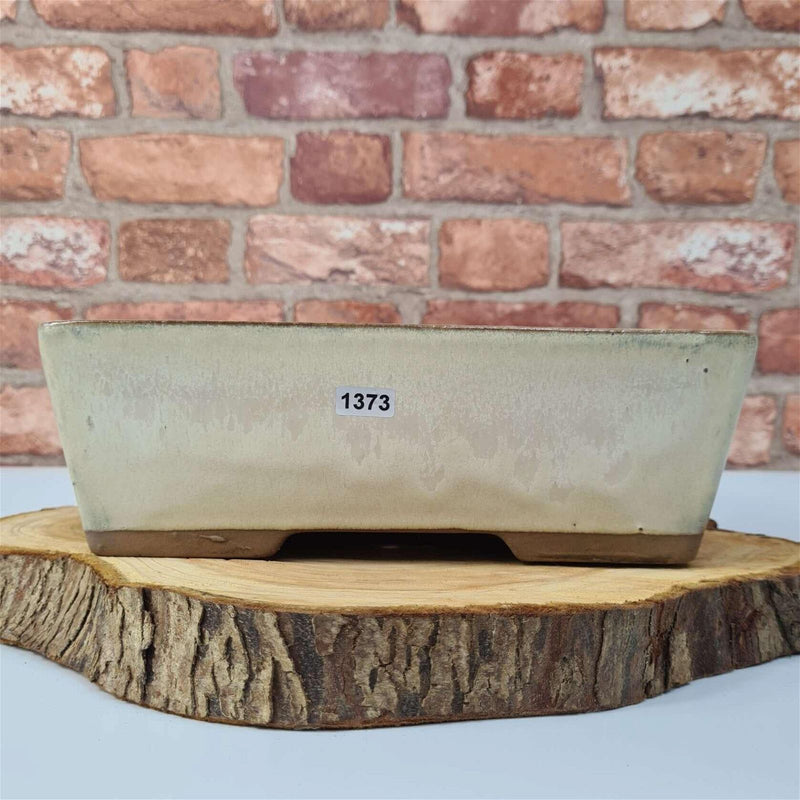 25cm Glazed Bonsai Pot | Rectangle | 25cm x 18cm x 9cm | White - Yorkshire Bonsai