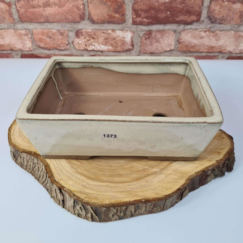 25cm Glazed Bonsai Pot | Rectangle | 25cm x 18cm x 9cm | White - Yorkshire Bonsai