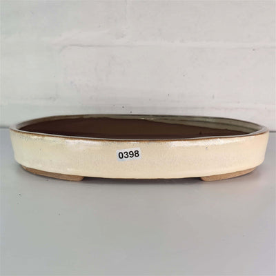 26cm Glazed Bonsai Pot | Oval | 26cm x 19cm x 4cm | Cream - Yorkshire Bonsai