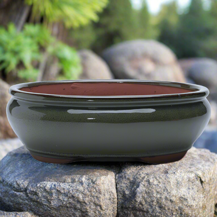 26cm Glazed Bonsai Pot | Oval | 26cm x 20cm x 6cm | Green - Yorkshire Bonsai