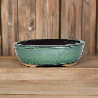 26cm Glazed Bonsai Pot | Oval | 26cm x 20cm x 8cm | Green - Yorkshire Bonsai