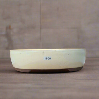 26cm Glazed Bonsai Pot | Oval | 26cm x 22cm x 6.5cm | White - Yorkshire Bonsai