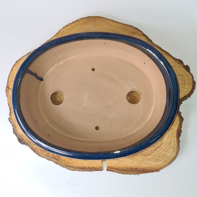 27cm Glazed Bonsai Pot | Oval | 27cm x 21cm x 8cm | Blue - Yorkshire Bonsai