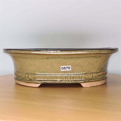 27cm Glazed Bonsai Pot | Oval | 27cm x 22cm x 8cm | Green - Yorkshire Bonsai
