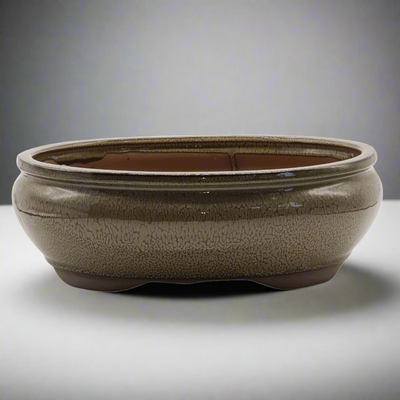 31cm Glazed Bonsai Pot | Oval | 31cm x 25cm x 11cm | Green - Yorkshire Bonsai