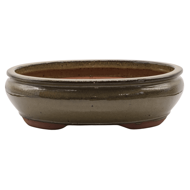 37cm Glazed Bonsai Pot | Oval | 37cm x 29cm x 10cm | Green - Yorkshire Bonsai