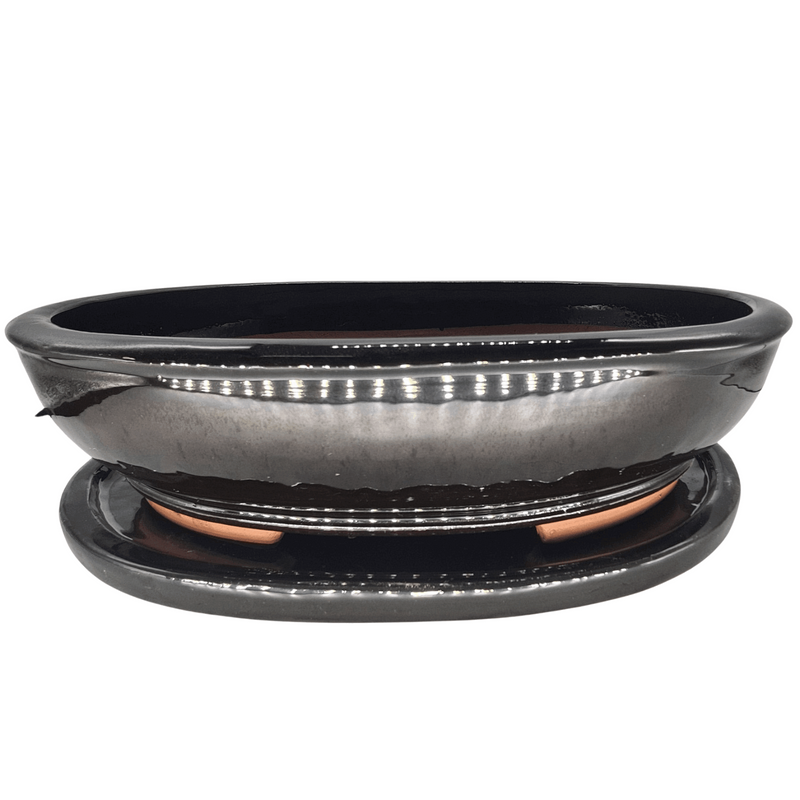 37cm Glazed Bonsai Pot | Oval | 37cm x 30cm x 9cm | Black | With Drip Tray - Yorkshire Bonsai