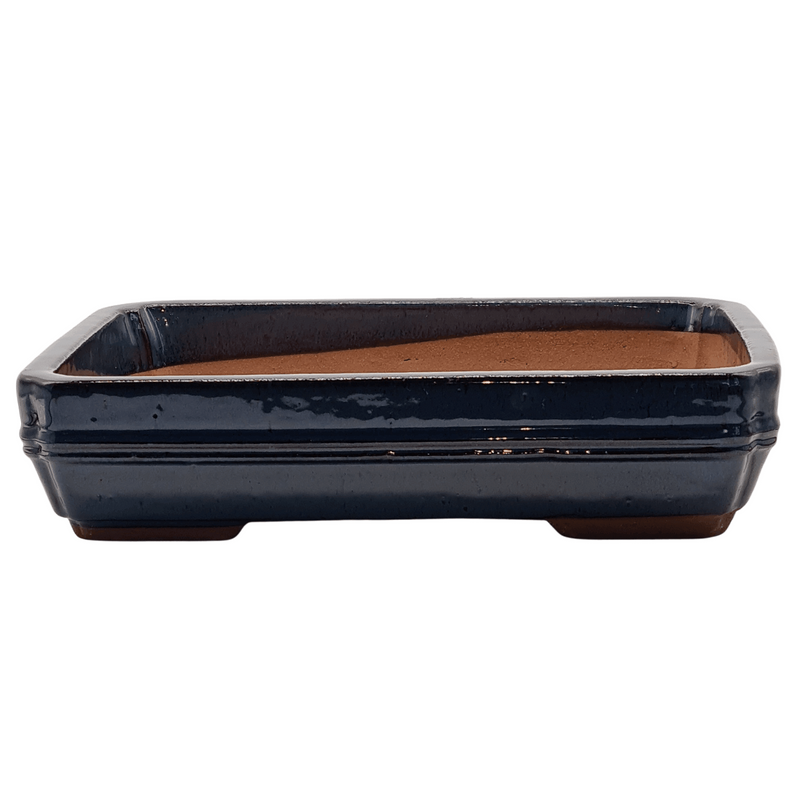 37cm Glazed Bonsai Pot | Rectangle | 37cm x 28cm x 9cm | Blue - Yorkshire Bonsai