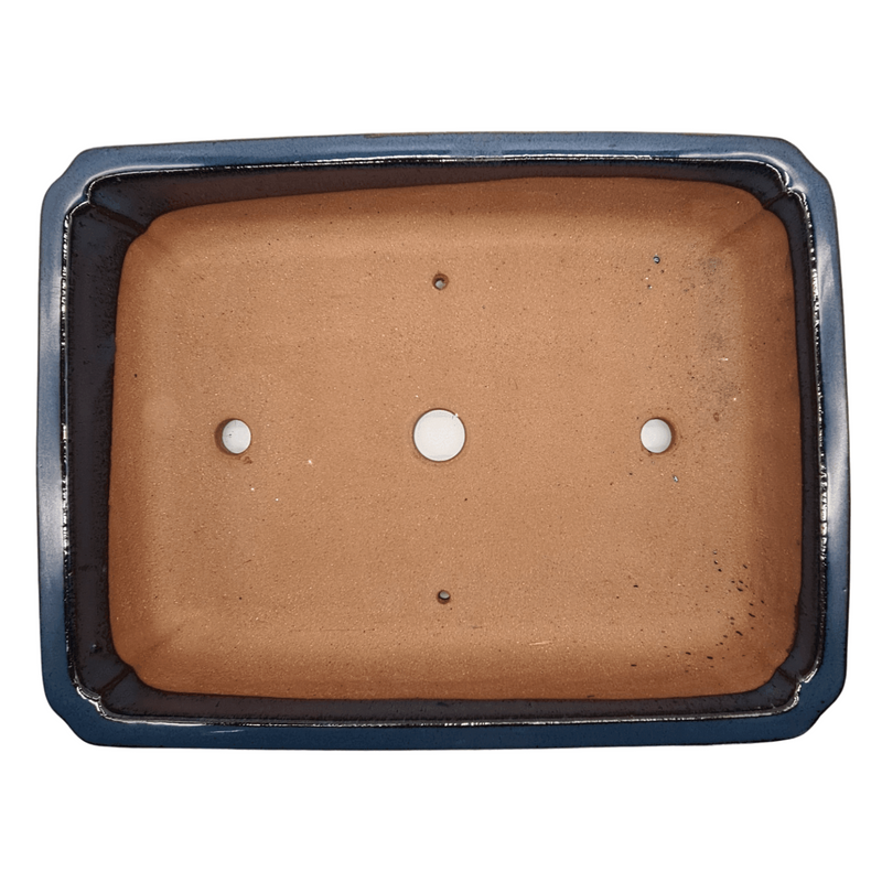 37cm Glazed Bonsai Pot | Rectangle | 37cm x 28cm x 9cm | Blue - Yorkshire Bonsai