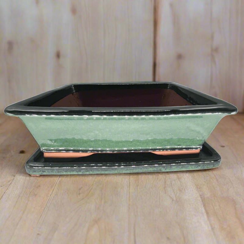 37cm Glazed Bonsai Pot | Rectangle | 37cm x 29cm x 11cm | Green | With Drip Tray - Yorkshire Bonsai