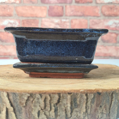 CLEARANCE 12cm Glazed Bonsai Pot | Rectangle | 12cm x 9cm x 5cm | Blue | With drip tray - Yorkshire Bonsai