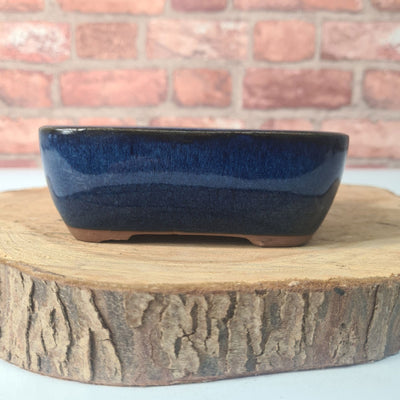 CLEARANCE 14cm Glazed Bonsai Pot | Rectangle | 14cm x 10cm x 5cm | Blue - Yorkshire Bonsai