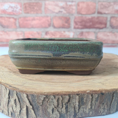 CLEARANCE 14cm Glazed Bonsai Pot | Rectangle | 14cm x 10cm x 5cm | Green - Yorkshire Bonsai