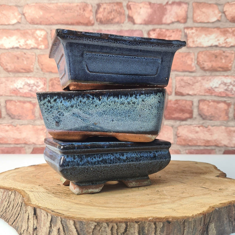 CLEARANCE 15cm Glazed Bonsai Pot | Rectangle | 15cm x 10cm x 6cm | Blue - Yorkshire Bonsai