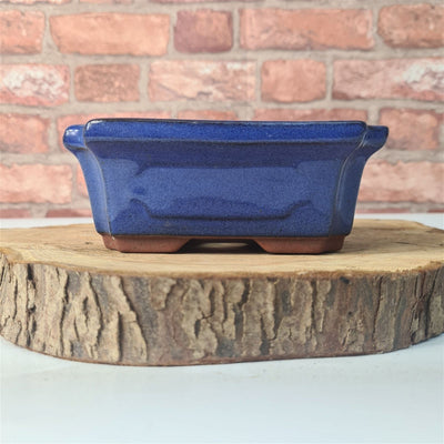 CLEARANCE 15cm Glazed Bonsai Pot | Rectangle | 15cm x 10cm x 6cm | Blue - Yorkshire Bonsai