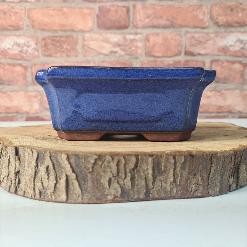 CLEARANCE 15cm Glazed Bonsai Pot | Rectangle | 15cm x 10cm x 6cm | Blue - Yorkshire Bonsai