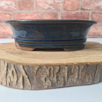 CLEARANCE 21cm Glazed Bonsai Pot | Oval | 21cm x 17cm x 6cm | Blue - Yorkshire Bonsai