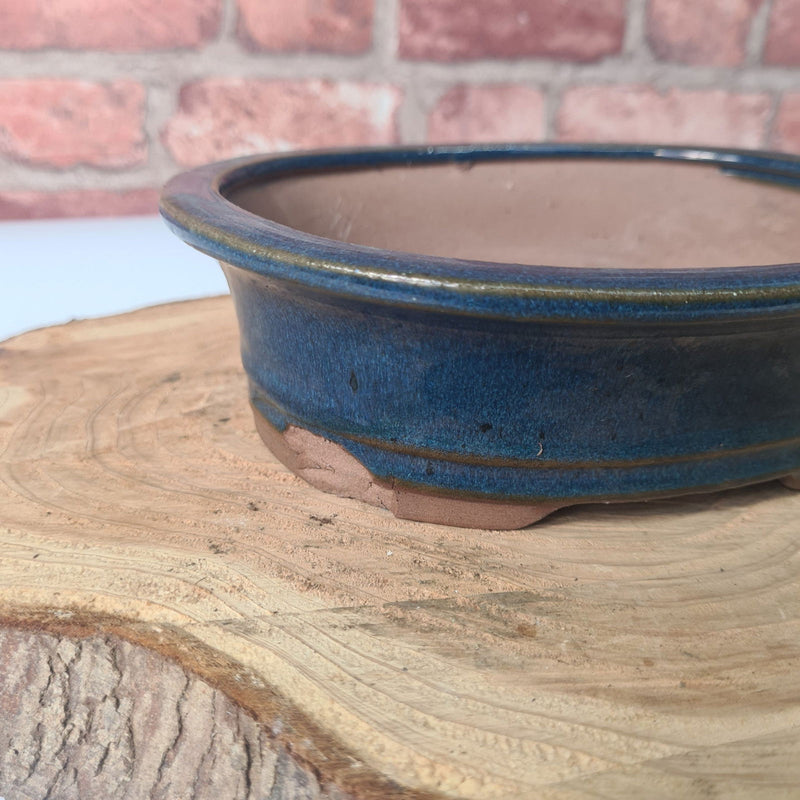 CLEARANCE 21cm Glazed Bonsai Pot | Oval | 21cm x 17cm x 6cm | Blue - Yorkshire Bonsai