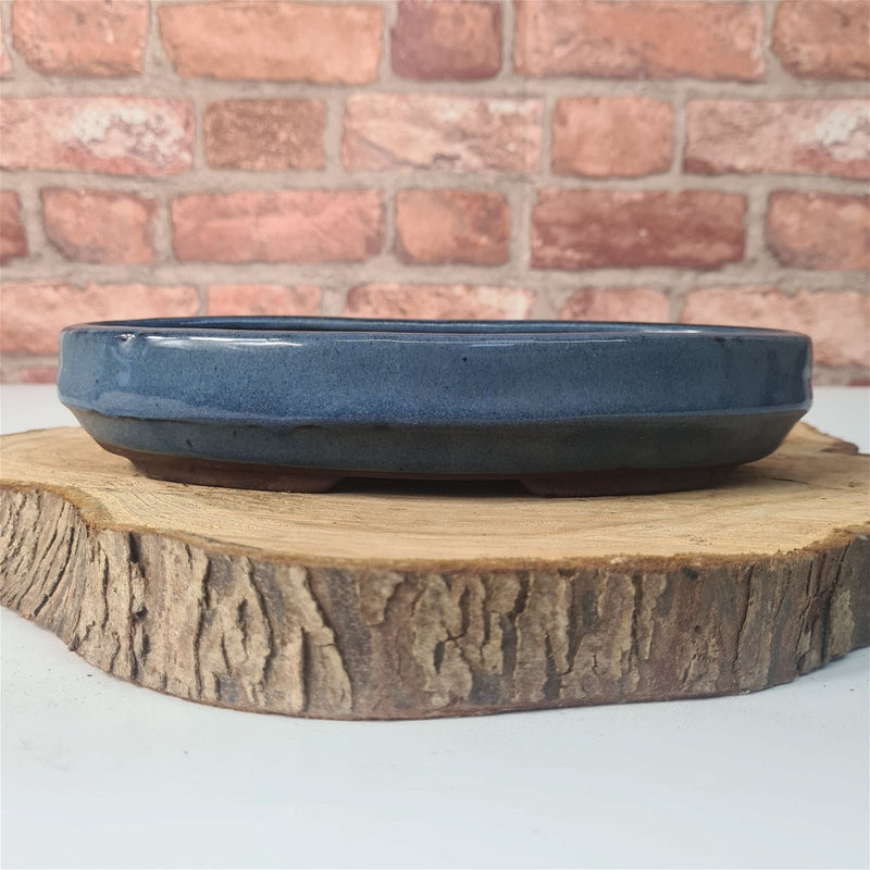 CLEARANCE 23cm Glazed Bonsai Pot | Oval | 23cm x 11cm x 5cm | Blue - Yorkshire Bonsai