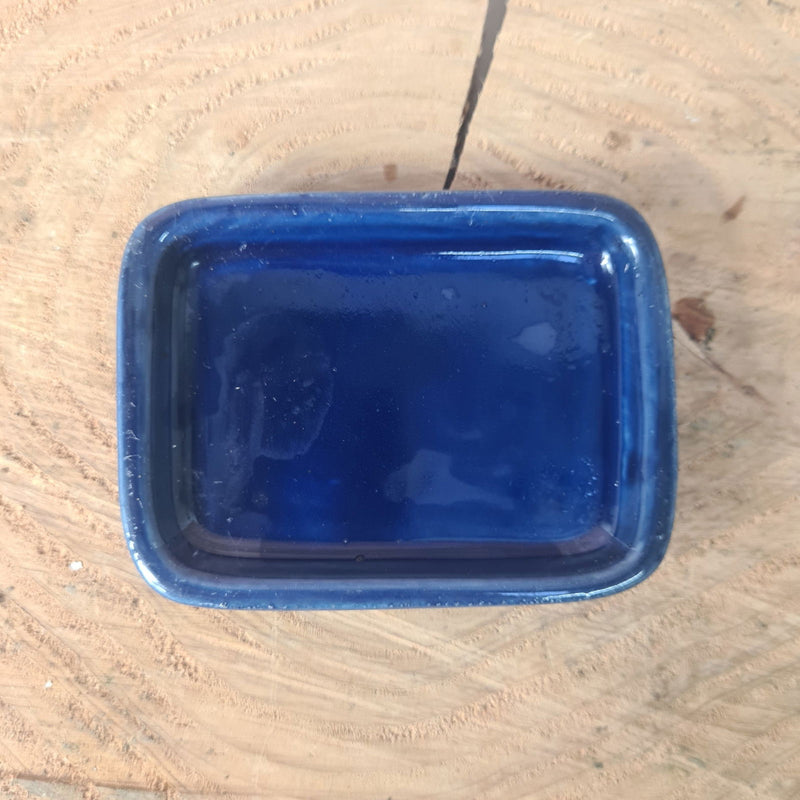 CLEARANCE 7cm Glazed Drip Tray | Rectangle | 7cm x 5cm | Blue - Yorkshire Bonsai