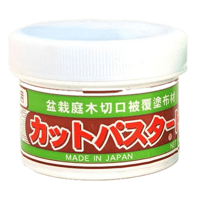 Japanese Bonsai Cut Paste | 190g Tub | White Top For Deciduous & Tropical Trees - Yorkshire Bonsai